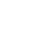 bodyshine